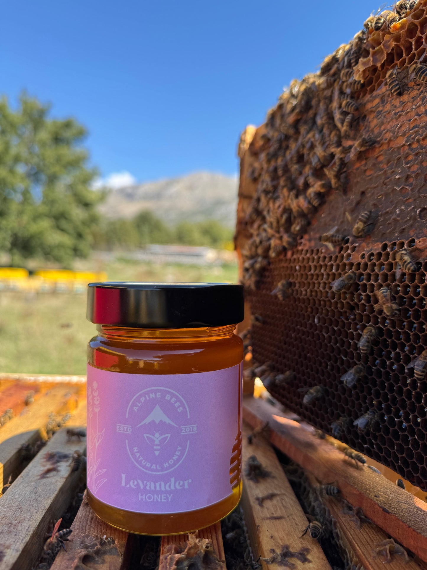 Levander Honey